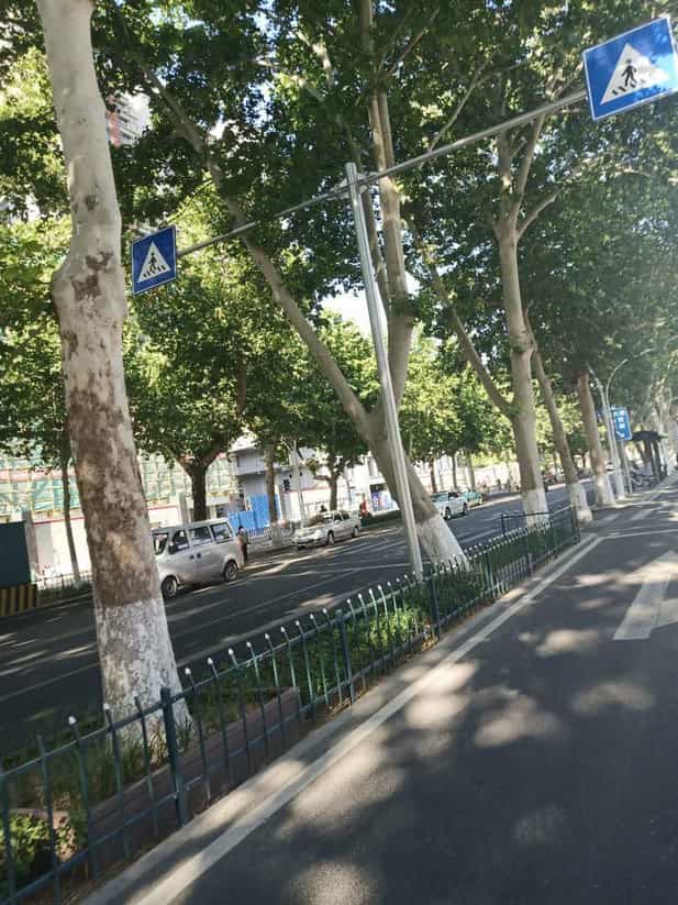 标志杆案例